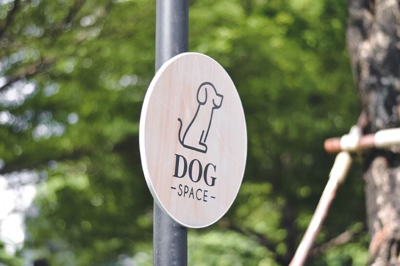 Top 7 Places to Take Your Pet Dog in Bangkok | News by Thaiger