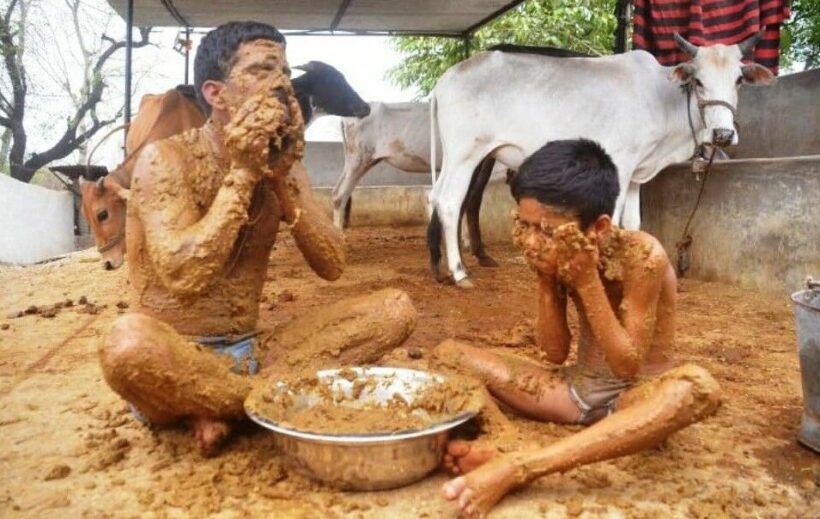 Fear over Covid in India has some washing themselves with cow dung