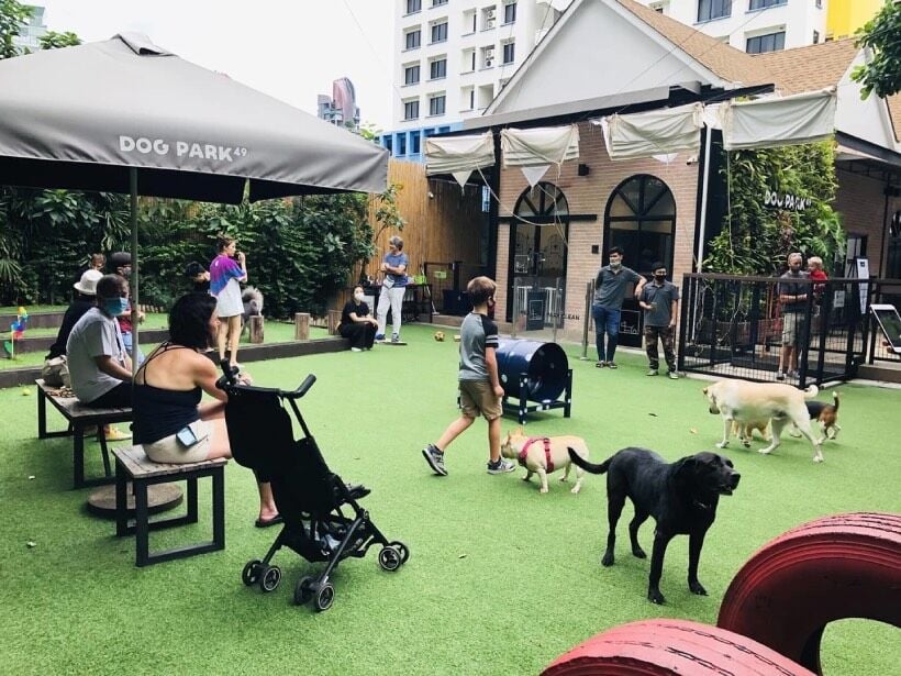 Top 7 Places to Take Your Pet Dog in Bangkok | News by Thaiger