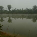 21 year old woman found drowned in Phuket pond | Thaiger