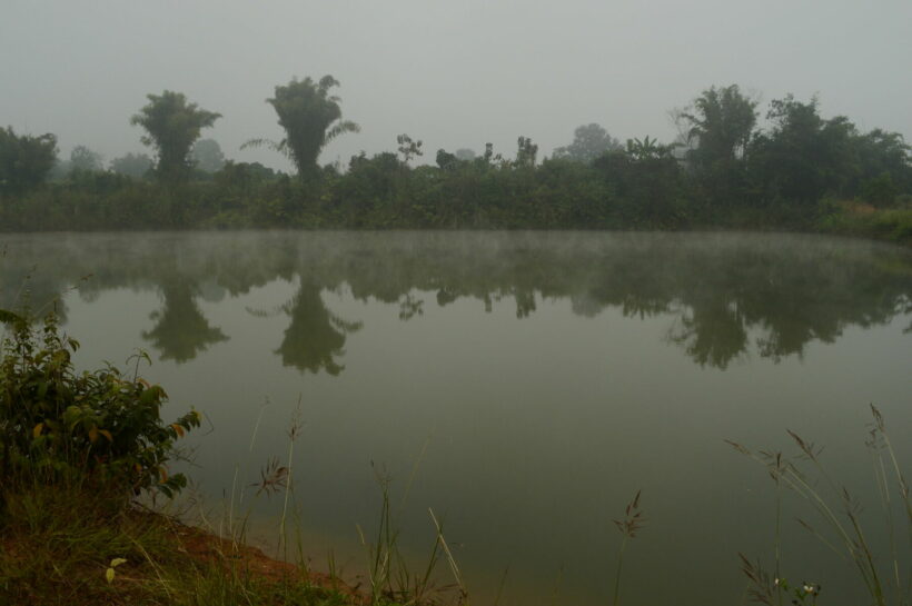 Missing man’s body found in pond in Phuket