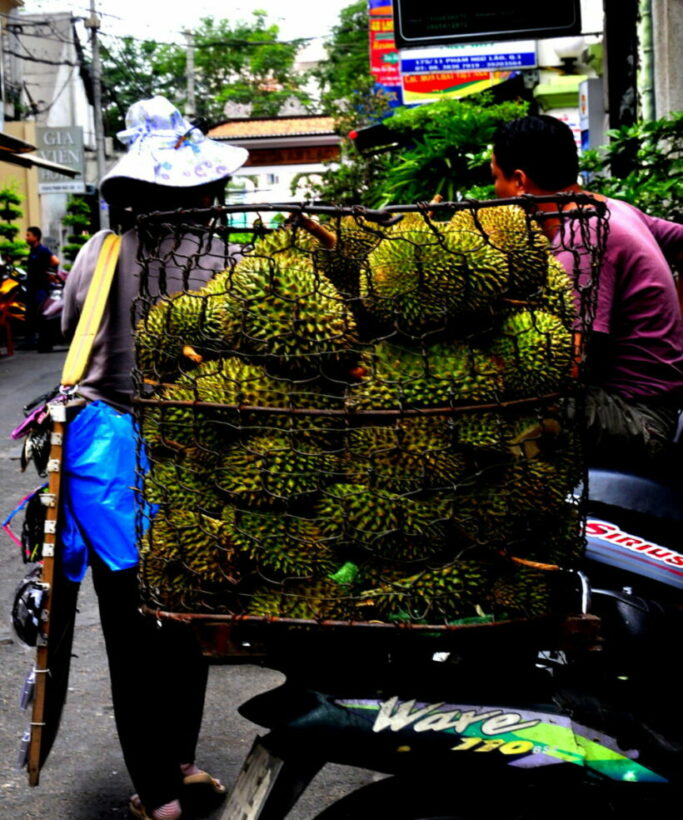 Fruit buyer arrested for allegedly using counterfeit certificates to export durian