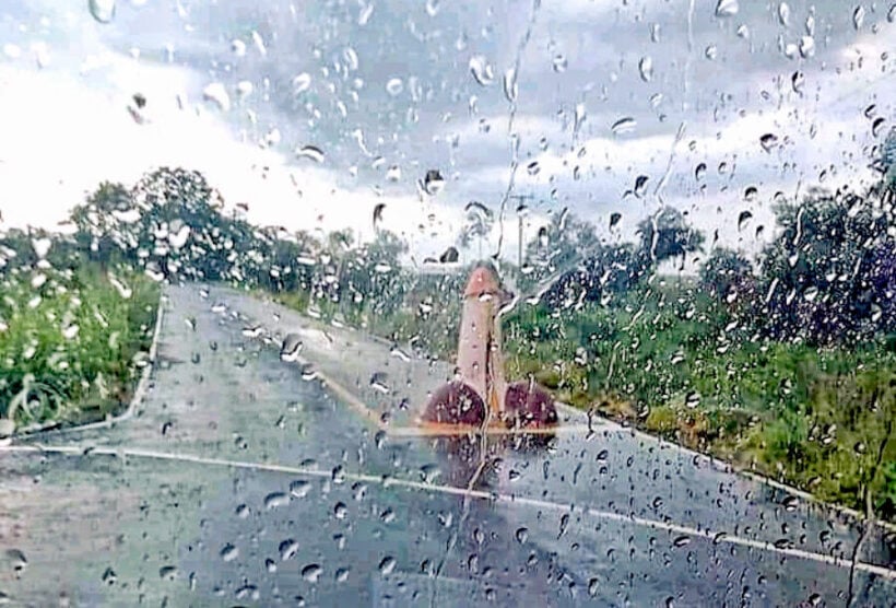 Penis statue works as village sees rain after erection