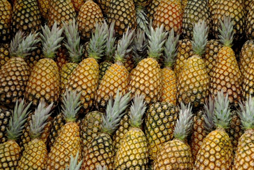 Dole pineapple factory has 34 new Covid-19 cases, 413 total