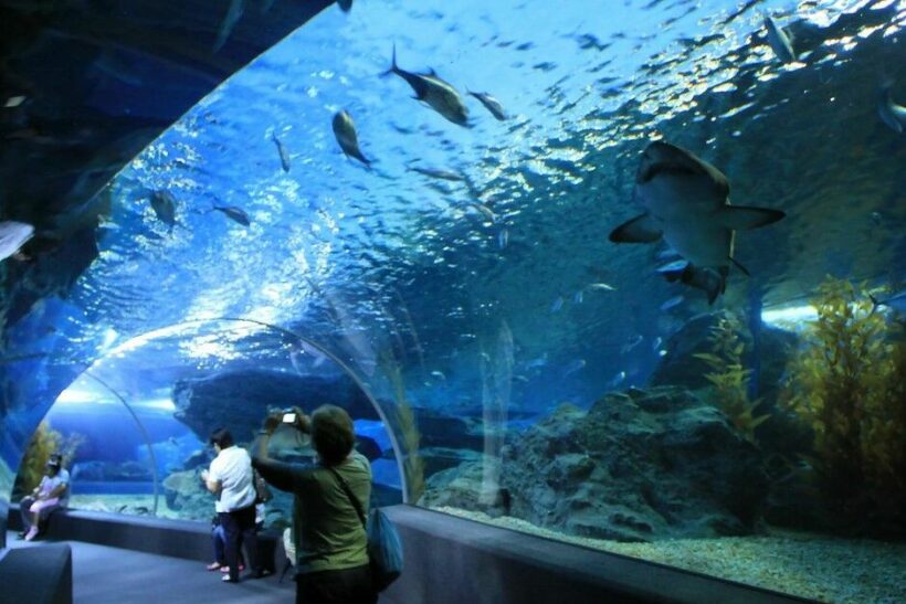 Top 10 Family-Friendly Things to do in Thailand | News by Thaiger