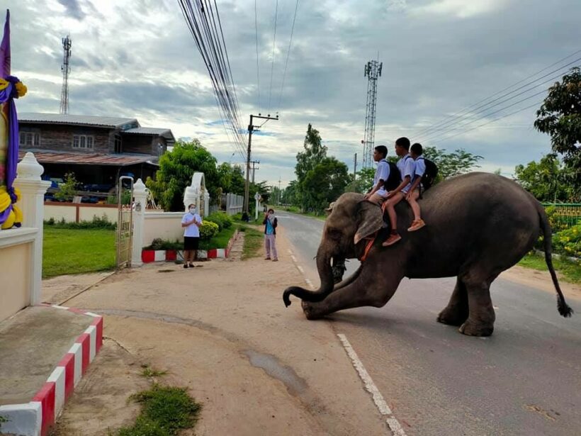 Students in Thailand’s Isaan region go back to school on an elephant