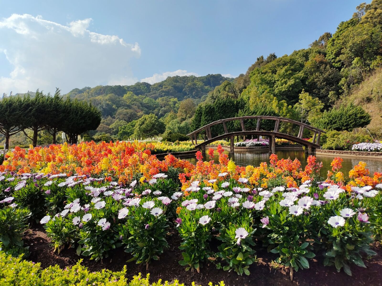 best cities to visit in Thailand, Chiang Mai