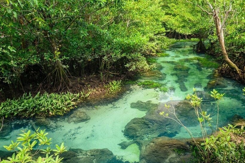 8 Top national parks in Thailand | News by Thaiger