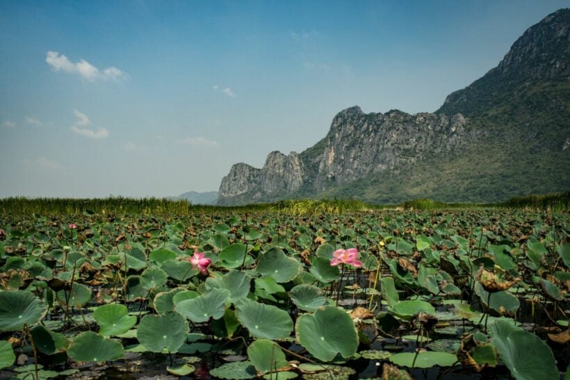 PHOTO: Khao Sam Roi Yot National Park Thailand via Unsplash