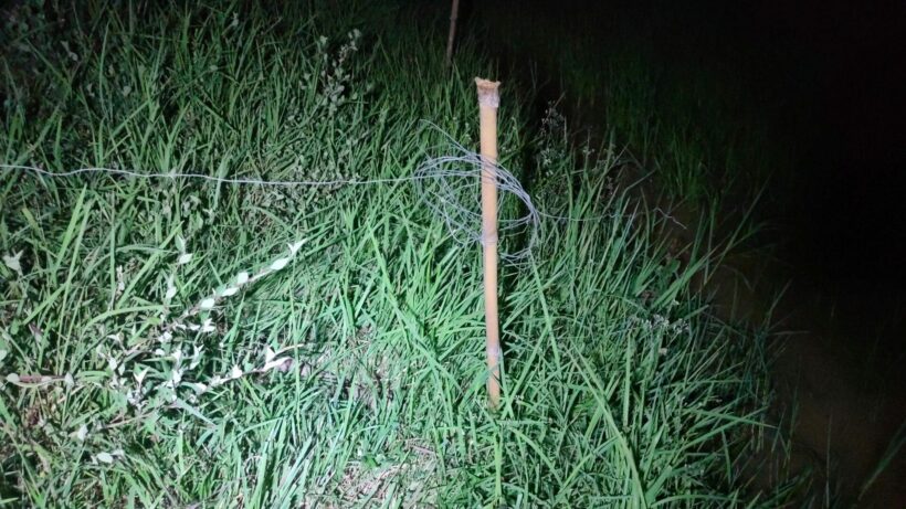 Isaan farmer and son electrocuted and killed by wire fence in rice field