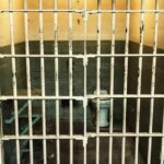 Justice Ministry looking for 411 people that were falsely imprisoned people, says they&#8217;re owed compensation | Thaiger