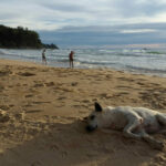 Phuket restrictions to stay in place until at least the end of the month, exemptions apply | Thaiger