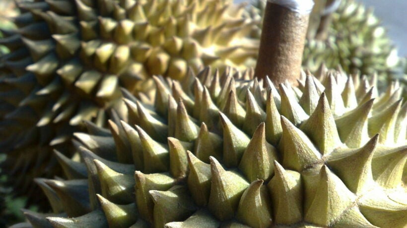 Chinese market finds Covid on durian packages