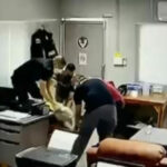 Police issue warning over rumoured death of officer who leaked custody killing footage | Thaiger