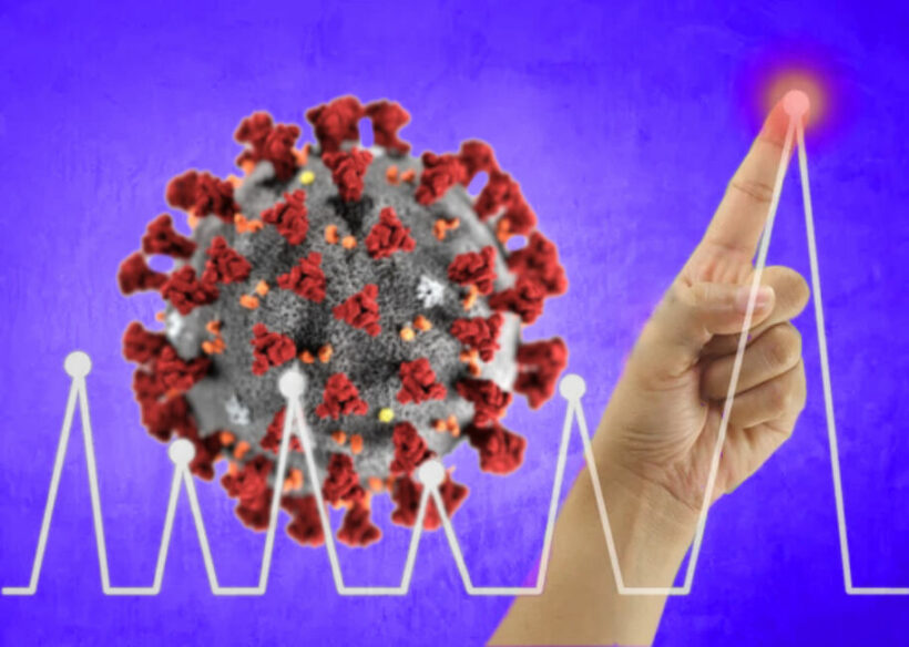 CCSA predicts that Covid-19 infections may have peaked