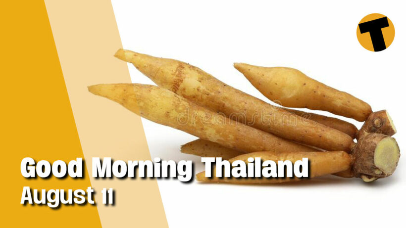 Good Morning Thailand | Tourism hopes dashed, murder in NE rice field, amnesty under discussion | August 11