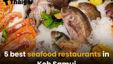 5 best seafood restaurants in Koh Samui [2025] | Thaiger