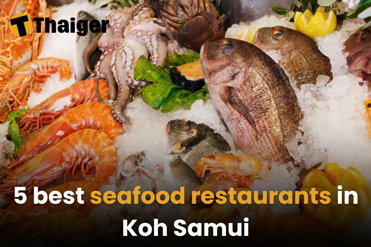 5 best seafood restaurants in Koh Samui [2025] | Thaiger