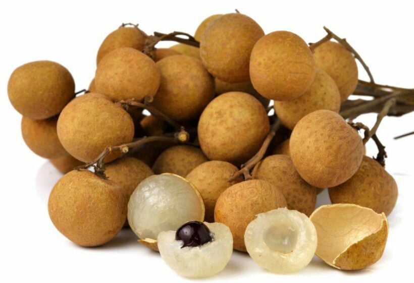 Ban lifted on longan fruit to China over mealybugs