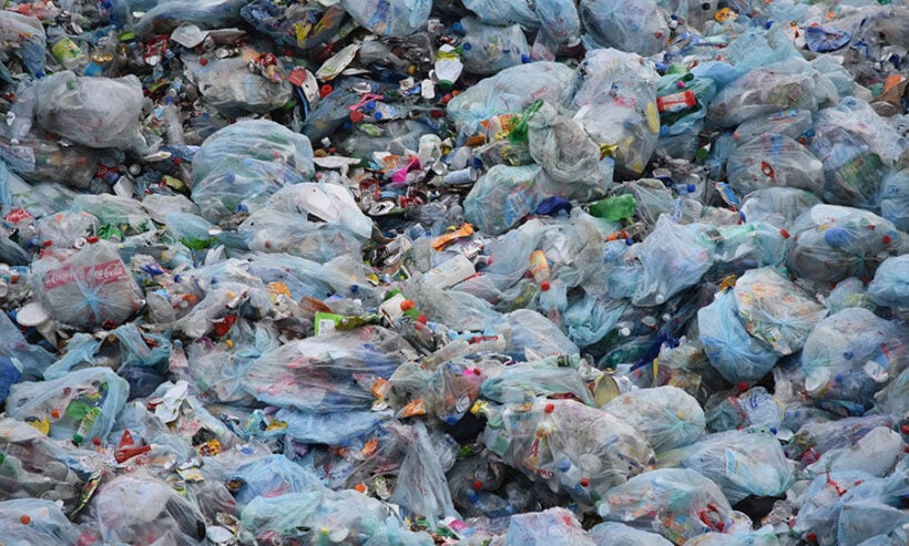 Environmental groups urge government to ban the import of plastic waste