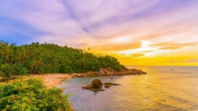 Best time to travel to Thailand