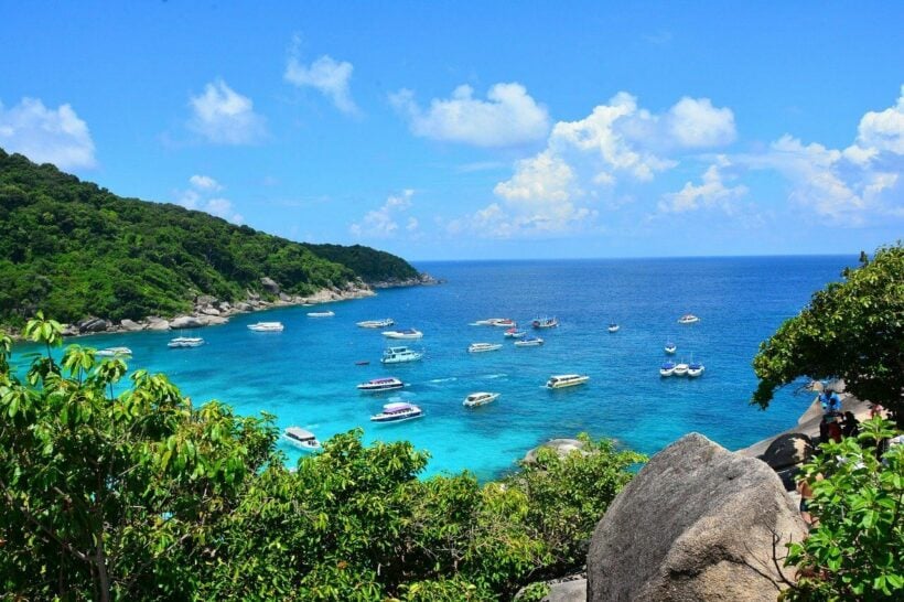 Similan Islands One Day Trip ภูเก็ต 5 ไอเดียเที่ยวกับทัวร์