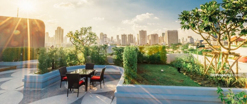 Have a furry friend? Here is a list of pet-friendly condos in Bangkok | News by Thaiger