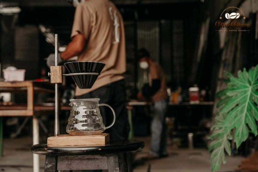 Finding the best roasted coffee in Thailand with Coffee Culture | News by Thaiger