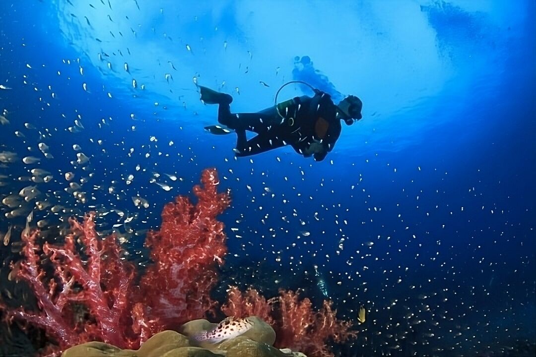 8 Most Famous Diving Spots In Thailand | Thaiger