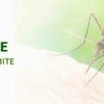 Get your Tropical Health Insurance with Thaiger! | Thaiger