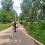 Rubber plantation workers severely injured, man&#8217;s leg blown off after stepping on bomb | Thaiger