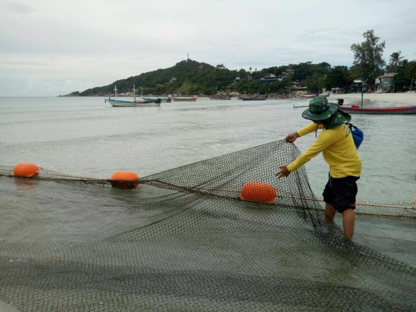 9 year old Israeli boy on Koh Phangan dies from box jellyfish sting