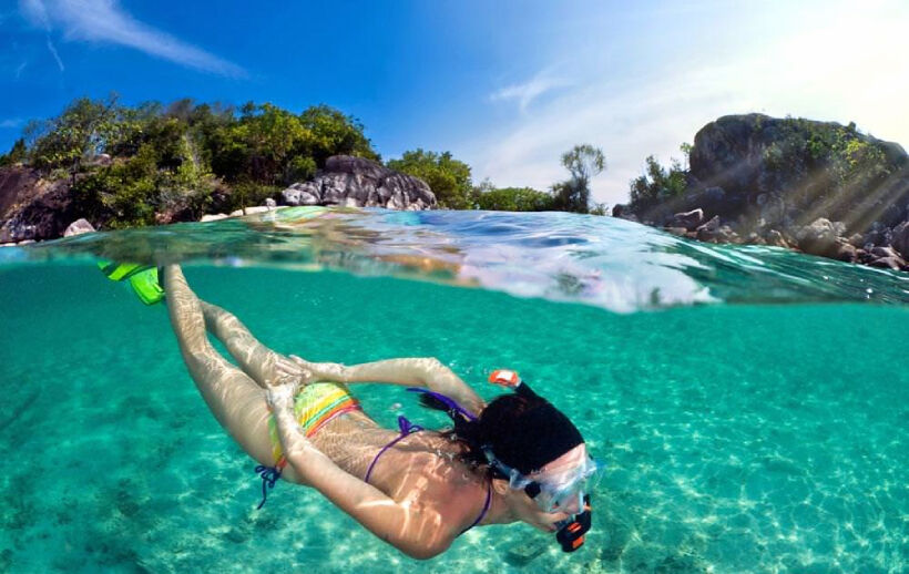 Top 5 Scuba Diving Snorkelling Tours in Samui | News by Thaiger