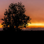 23 Rohingya rescued from human trafficking operation in Tak | Thaiger