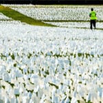 Study says Covid has reduced life expectancy the most since WWII | Thaiger