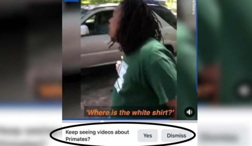 Facebook video recommendations disabled after labelling black men Primates