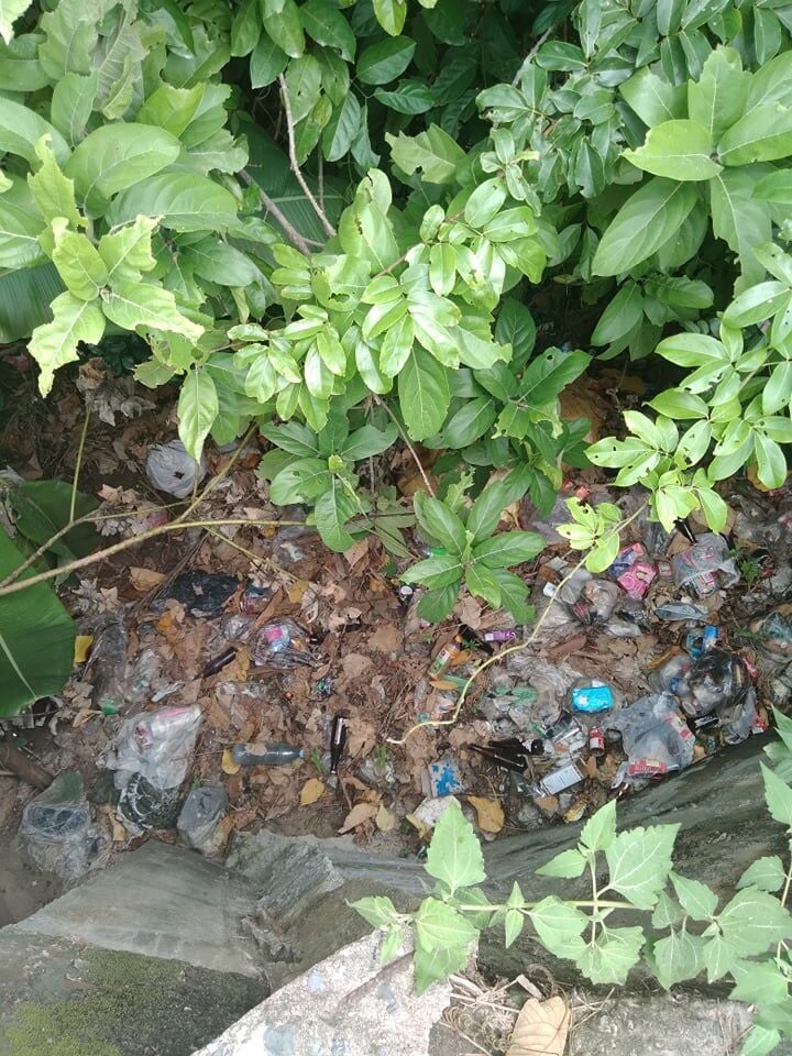 Island of rubbish: Koh Samui’s pollution problem remains unsolved Island of rubbish: Koh Samui’s pollution problem remains unsolved