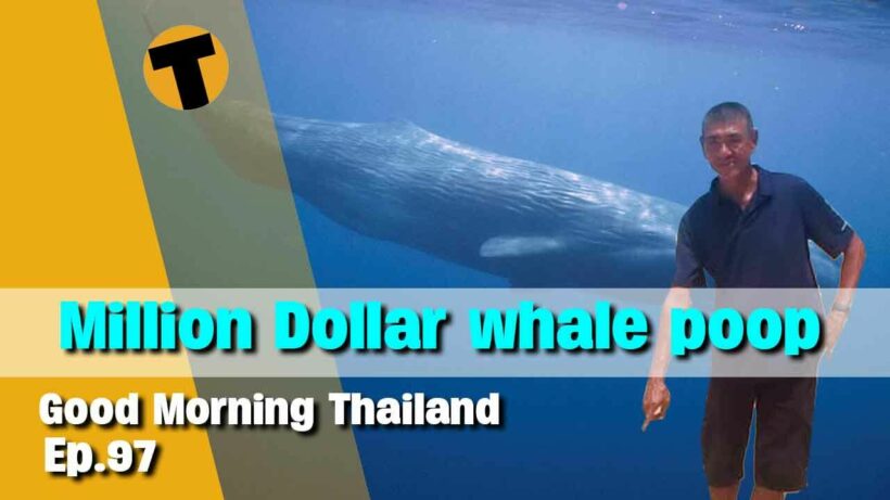 Investigation on land encroachment and Ambergris worth 1 mil $ | Good Morning Thailand | Ep. 96