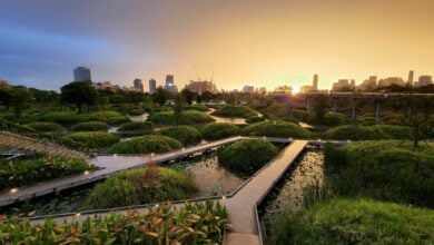 The best parks to visit in Bangkok 2024
