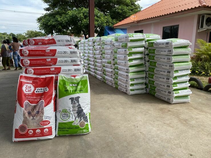 Soi Dog Foundation provides food relief for animals in flood-hit central Thailand | News by Thaiger