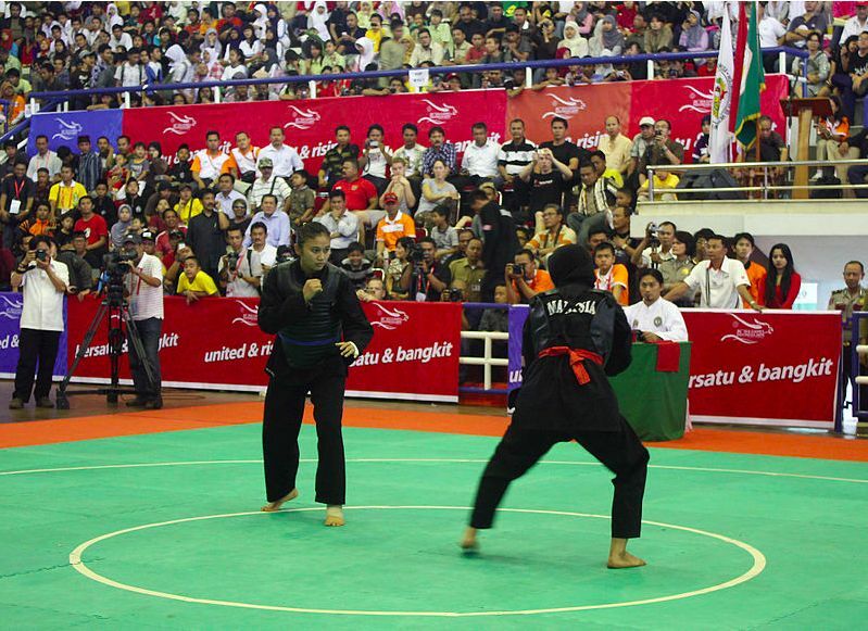 Vietnam to host next Southeast Asia Games