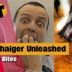 Pirate in Thailand, Traveling, TAT fee, Thai Coffee | Thaiger Bites | Ep. 37 | Thaiger