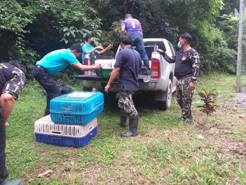 Police rescue more than 40 wild monkeys reportedly being smuggled to restaurants