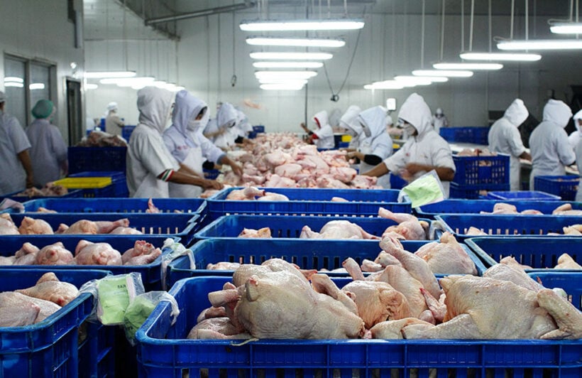 Thailand's chicken industry suffering from lack of migrant workers ...