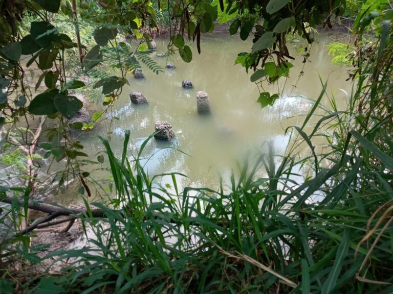 Body of dead man found in Chon Buri lagoon by shell collector