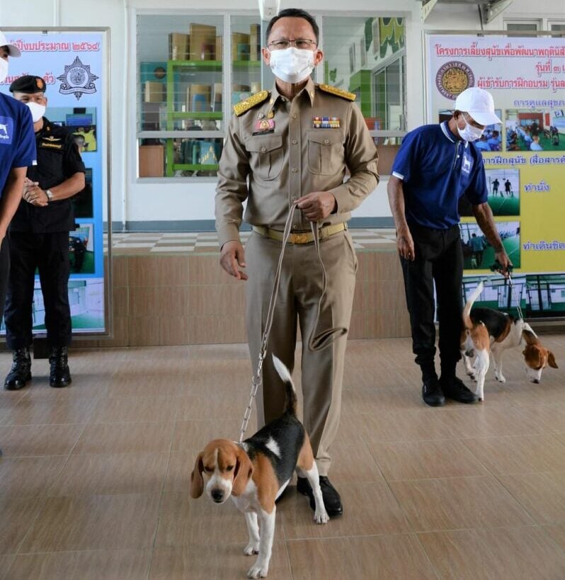 สุนัขช่วยนักโทษไทยเตรียมกลับคืนสู่สังคม |  ข่าวโดย Thaiger