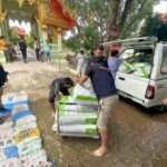 Soi Dog Foundation sends over 100 tonnes of dog and cat food for flood relief | Thaiger