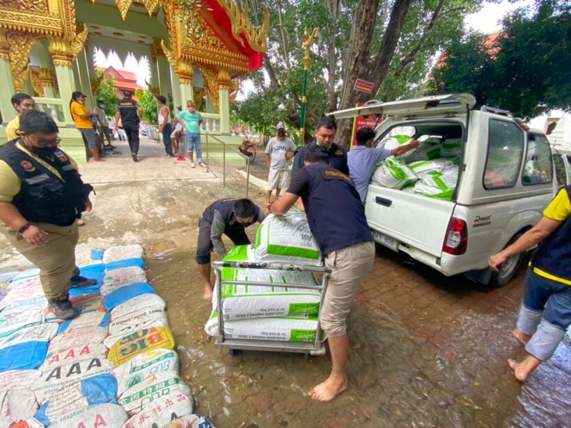 Soi Dog Foundation sends over 100 tonnes of dog and cat food for flood relief