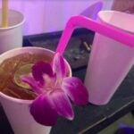 Bangkok police say restaurateurs could face jail time for serving alcohol after 9pm | Thaiger