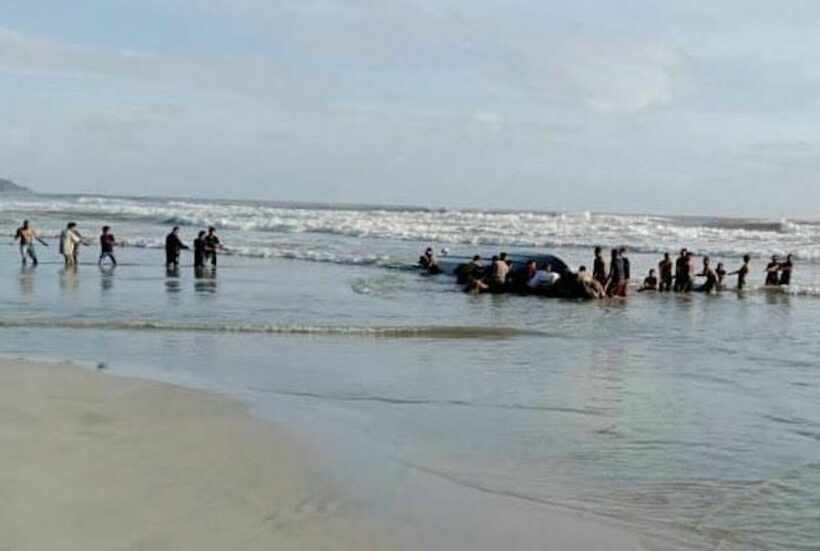 11 dead, 25 still missing after boat capsized off Malaysian coast